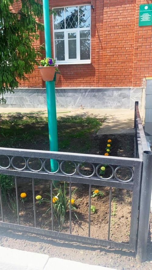 В Лаишевском районе предприятия и организации активно участвуют в санитарно-экологическом двухмесячнике