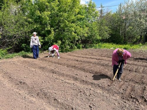Кипит работа на пришкольном участке