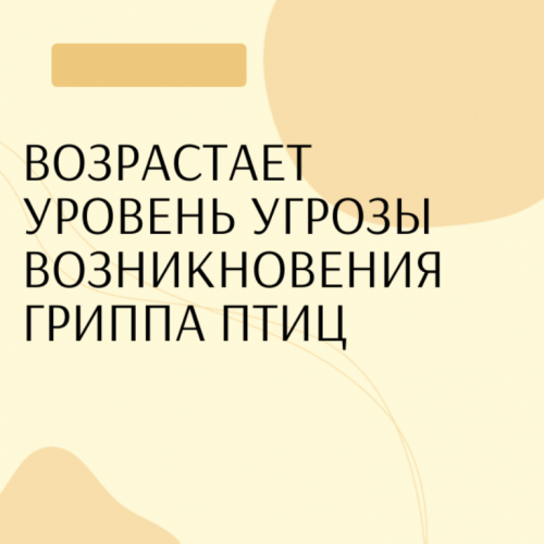 Возрастает уровень угрозы возникновения гриппа птиц