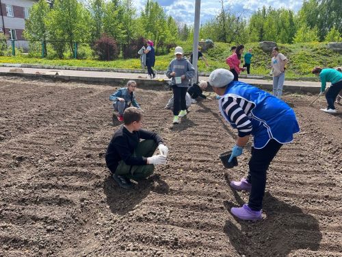 Кипит работа на пришкольном участке