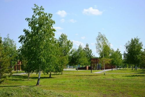 Тур по Лаишеву начался с тренировки по скандинавской ходьбе