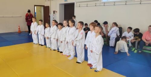 В Лаишевском районе провели праздник «Дзюдо для всех»