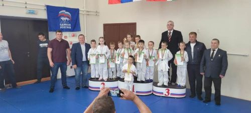 В Лаишевском районе провели праздник «Дзюдо для всех»