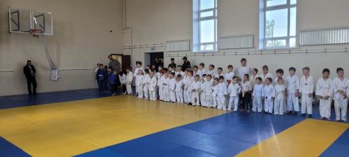 В Лаишевском районе провели праздник «Дзюдо для всех»