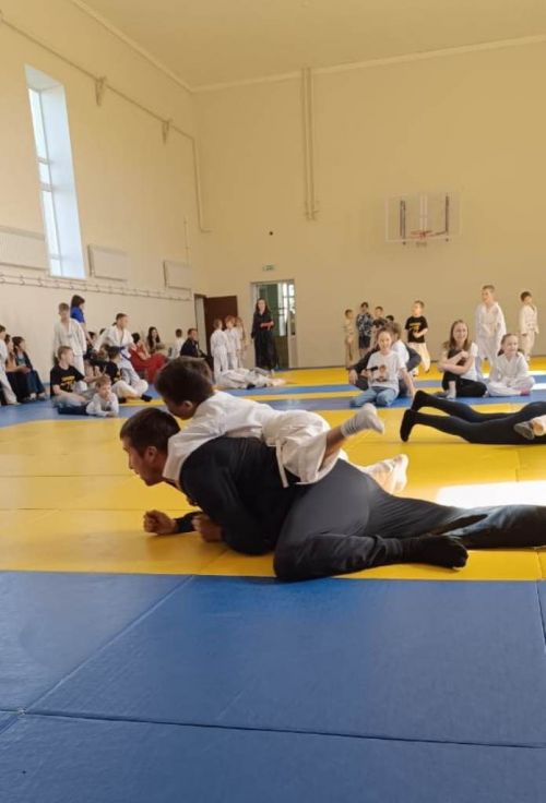 В Лаишевском районе провели праздник «Дзюдо для всех»