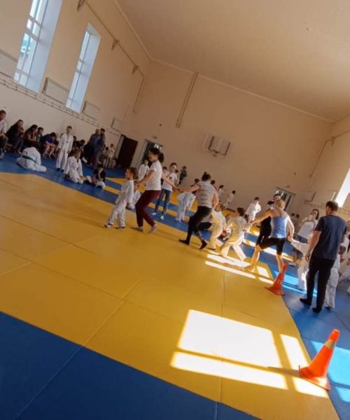В Лаишевском районе провели праздник «Дзюдо для всех»