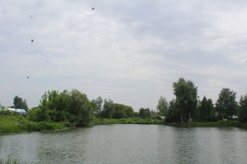 В Лаишевском районе во вторник прогнозируются гроза и сильный ветер