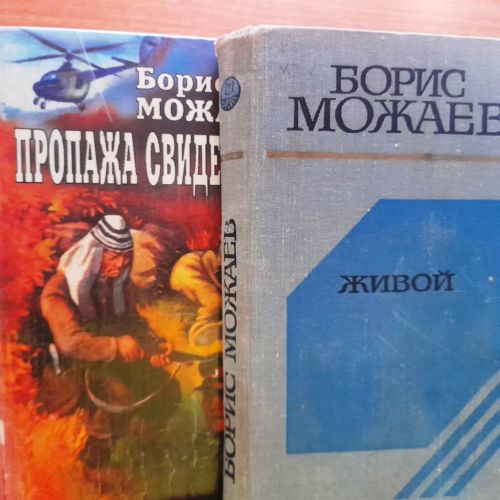 В Лаишевской библиотеке организована книжная выставка-юбилей