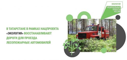В республике возвели 35 километров дорог для лесопожарных автомобилей