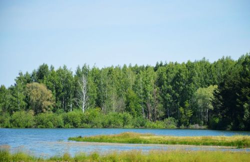 Приумножай ежедневно свои силы и знания, учитывая ошибки окружающих