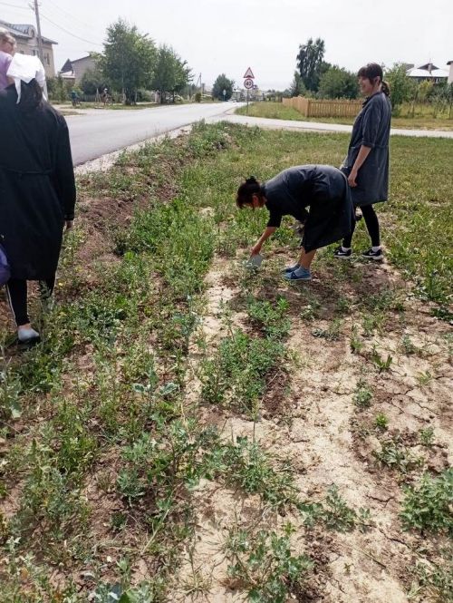 В Лаишеве готовятся к Державинскому фестивалю