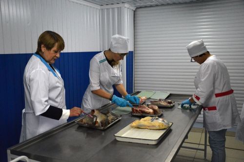 Сотрудница Лаишевского ветобъединения вошла в финал республиканского конкурса «Лучший ветсанэксперт Республики Татарстан»