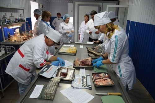 Сотрудница Лаишевского ветобъединения вошла в финал республиканского конкурса «Лучший ветсанэксперт Республики Татарстан»