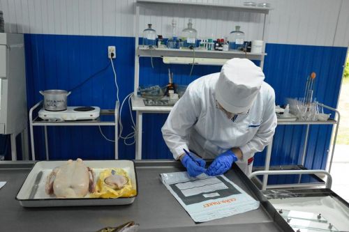 Сотрудница Лаишевского ветобъединения вошла в финал республиканского конкурса «Лучший ветсанэксперт Республики Татарстан»