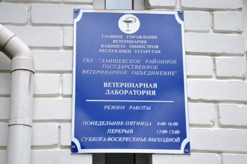 Сотрудница Лаишевского ветобъединения вошла в финал республиканского конкурса «Лучший ветсанэксперт Республики Татарстан»