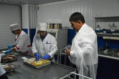 Сотрудница Лаишевского ветобъединения вошла в финал республиканского конкурса «Лучший ветсанэксперт Республики Татарстан»