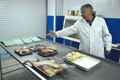 Сотрудница Лаишевского ветобъединения вошла в финал республиканского конкурса «Лучший ветсанэксперт Республики Татарстан»