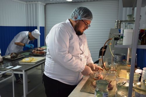 Сотрудница Лаишевского ветобъединения вошла в финал республиканского конкурса «Лучший ветсанэксперт Республики Татарстан»