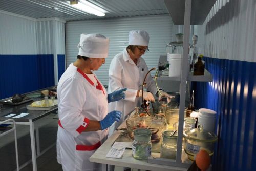 Сотрудница Лаишевского ветобъединения вошла в финал республиканского конкурса «Лучший ветсанэксперт Республики Татарстан»