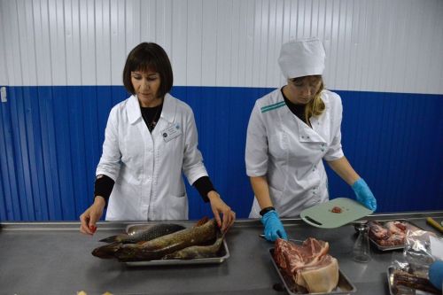 Сотрудница Лаишевского ветобъединения вошла в финал республиканского конкурса «Лучший ветсанэксперт Республики Татарстан»