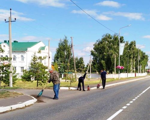 Экологические субботники делают город чище и уютнее