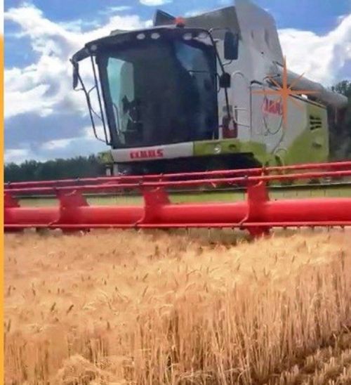 В Лаишевском районе началась уборочная страда