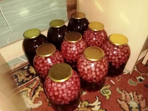 Рецепты читателей: закрываем на зиму малиновый компот