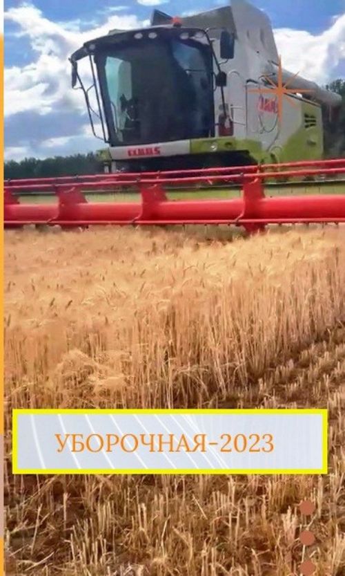 В Лаишевском районе началась уборочная страда
