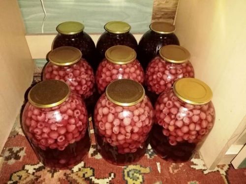 Рецепты читателей: закрываем на зиму малиновый компот