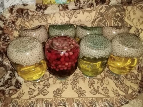 Рецепты читателей: закрываем на зиму малиновый компот