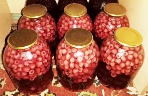 Рецепты читателей: закрываем на зиму малиновый компот
