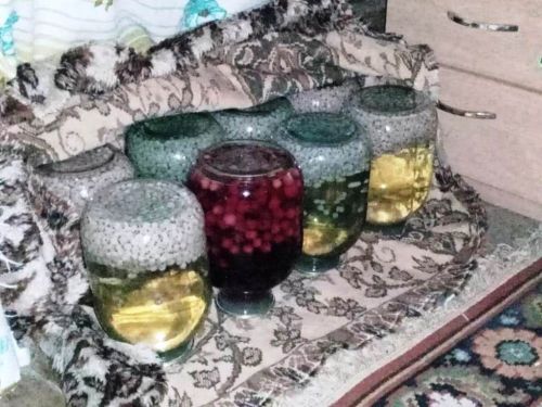 Рецепты читателей: закрываем на зиму малиновый компот