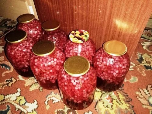 Рецепты читателей: закрываем на зиму малиновый компот