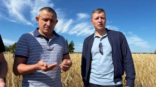 Ильдус Зарипов объехал поля Лаишевского района