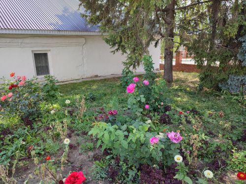 Розовый рай в Лаишевском детском доме
