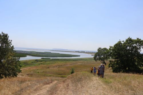 В Атабаево проходит АрхПикник-2023
