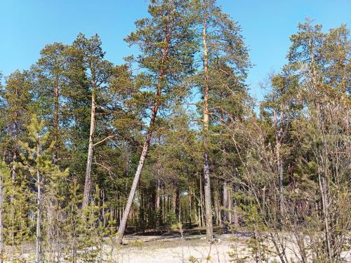 Городская среда: Манит меня тихий парк, озерцо и небесная синь