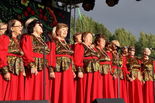 Сегодня село Среднее Девятово Лаишевского района принимает гостей из Татарстана и России