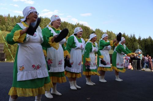 Сегодня село Среднее Девятово Лаишевского района принимает гостей из Татарстана и России