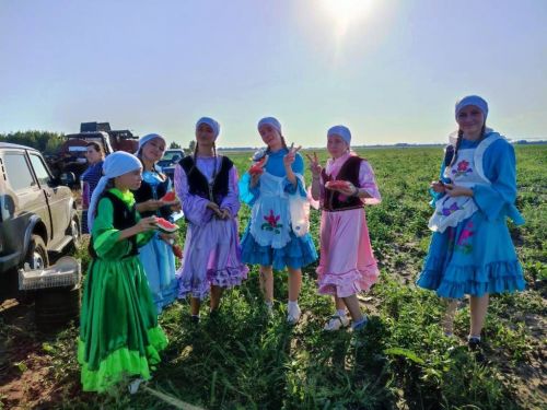 Уборочная страда: концерт для комбайнеров дали прямо в поле