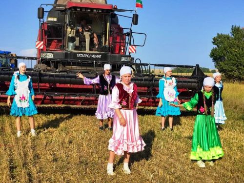 Уборочная страда: концерт для комбайнеров дали прямо в поле