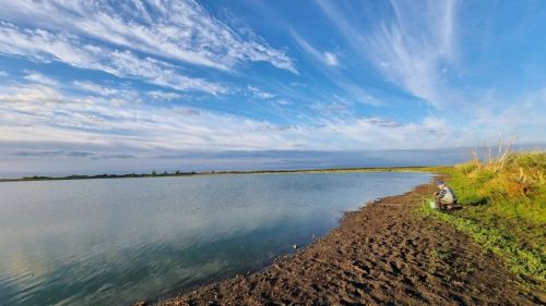 Вот и август подходит к концу, и поэты стихи посвящают ему