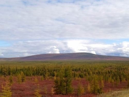 Путешествуем по России: За грибами и ягодами нужно ехать на Колыму
