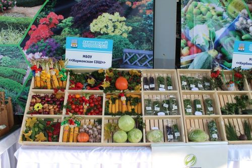 Выставка-ярмарка «Город мастеров» прошла при участии Лаишевского района