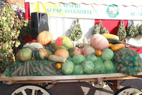 Выставка-ярмарка «Город мастеров» прошла при участии Лаишевского района