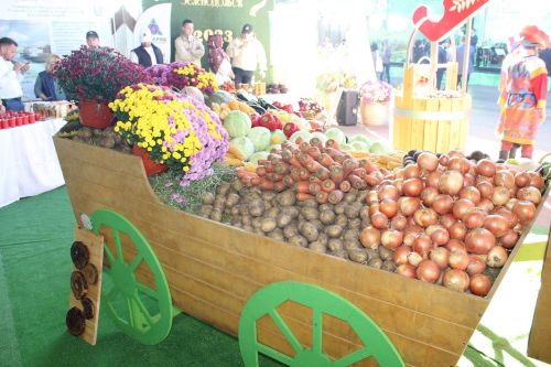 Лаишевские аграрии представили свою продукцию на «Дне садовода-2023»