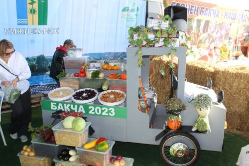 Лаишевские аграрии представили свою продукцию на «Дне садовода-2023»