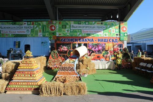 Лаишевские аграрии представили свою продукцию на «Дне садовода-2023»