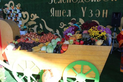 Лаишевские аграрии представили свою продукцию на «Дне садовода-2023»