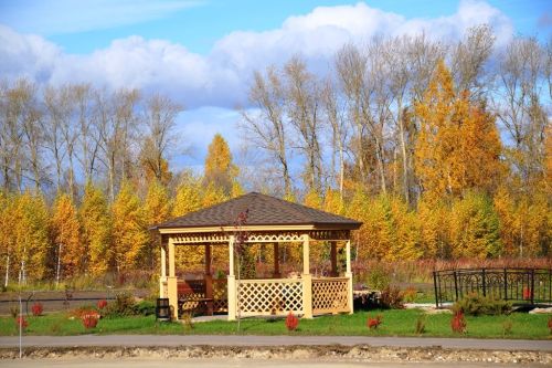 Спешите с самого утра прекрасной жизни предаваться